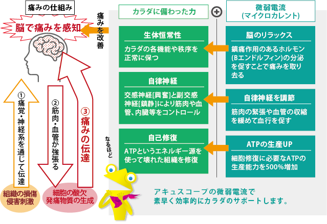 微弱電流とは