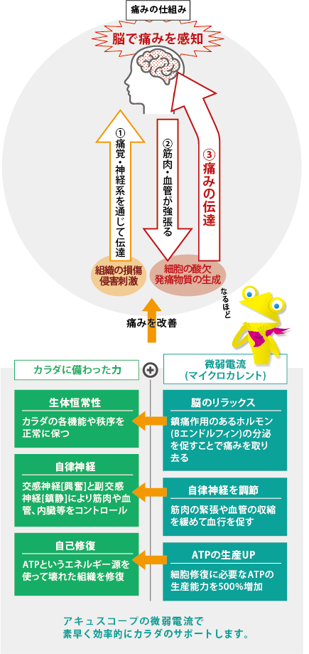 微弱電流とは